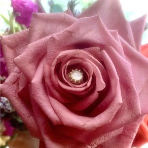 Anatometal 18k Gold King Crown end Moonstone